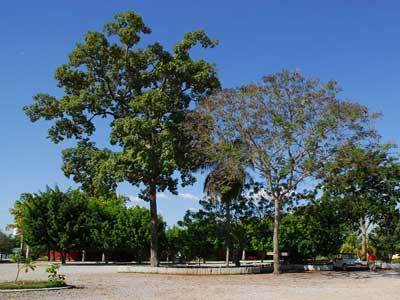 Hotel Fazenda Do Bertione 米兰达 外观 照片