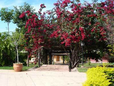 Hotel Fazenda Do Bertione 米兰达 外观 照片